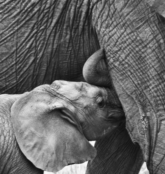 8d451f4d8bd20d45062117188718fd80-d338wqa