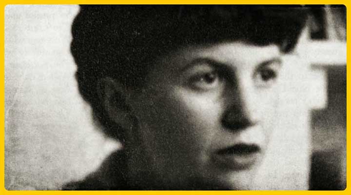 sylvia plath gunlukler kirmizi kedi 4